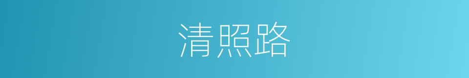 清照路的同义词