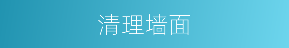 清理墙面的同义词