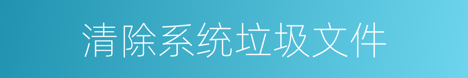 清除系统垃圾文件的同义词