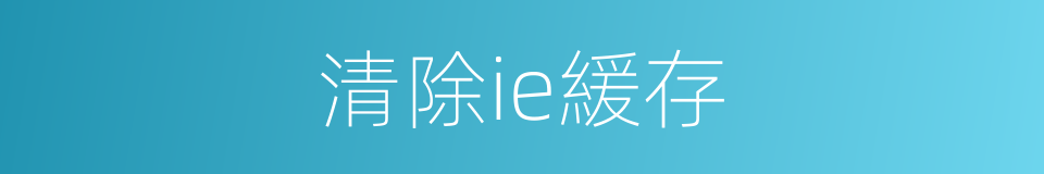 清除ie緩存的同義詞