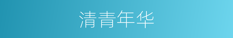 清青年华的同义词