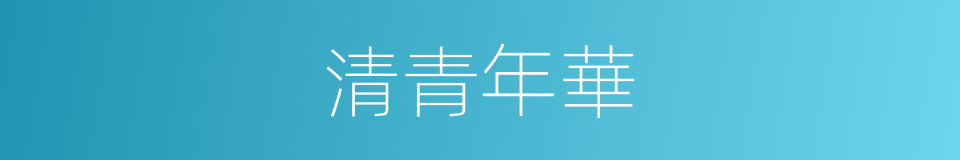 清青年華的同義詞
