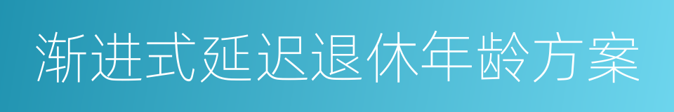 渐进式延迟退休年龄方案的同义词