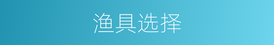 渔具选择的同义词