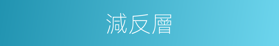 減反層的同義詞