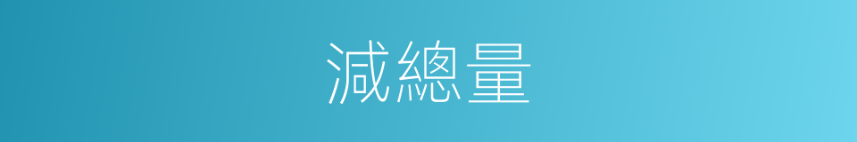 減總量的同義詞