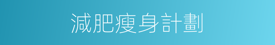 減肥瘦身計劃的同義詞