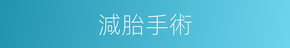 減胎手術的同義詞