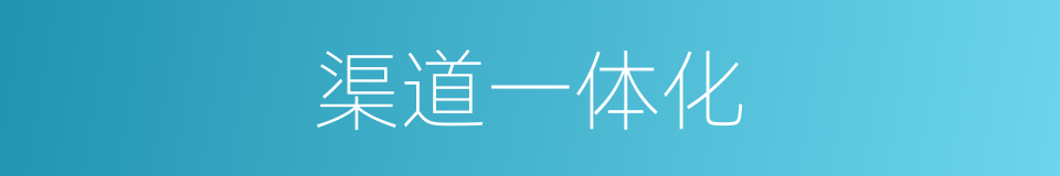 渠道一体化的同义词