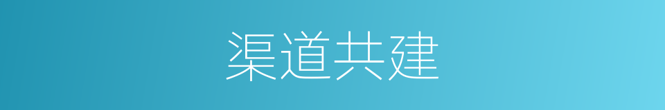 渠道共建的同义词