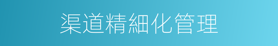 渠道精細化管理的同義詞