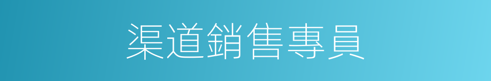 渠道銷售專員的同義詞