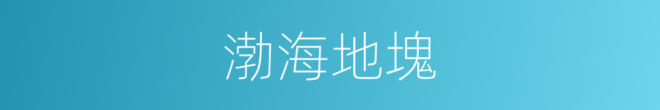 渤海地塊的同義詞