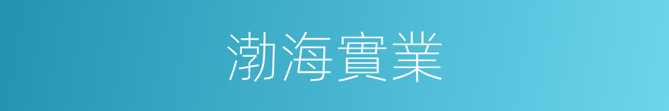 渤海實業的同義詞