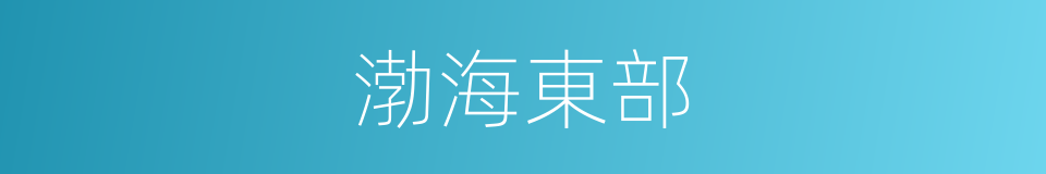 渤海東部的同義詞