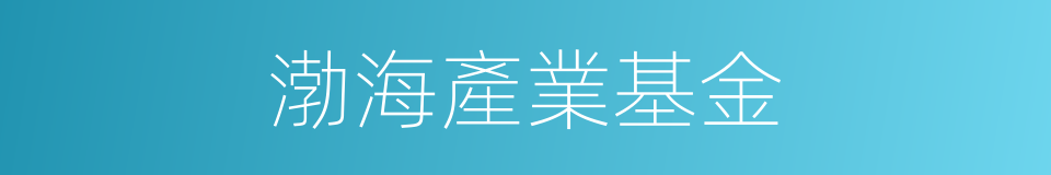渤海產業基金的同義詞