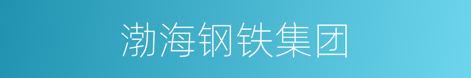 渤海钢铁集团的同义词
