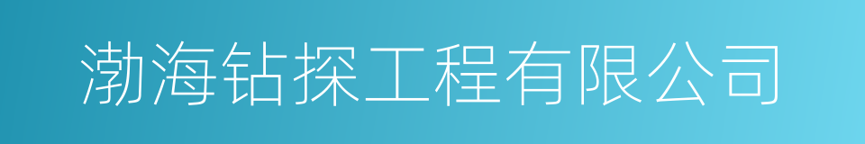 渤海钻探工程有限公司的同义词