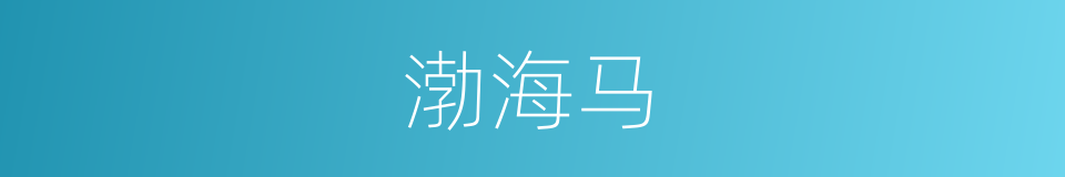 渤海马的同义词
