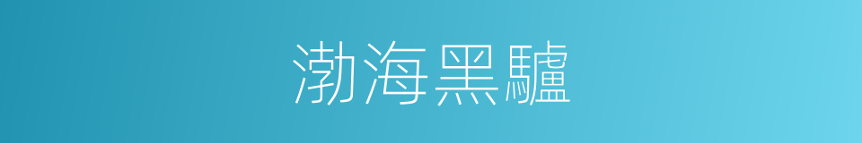 渤海黑驢的同義詞