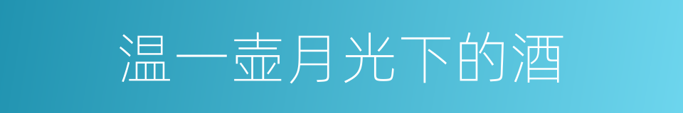 温一壶月光下的酒的同义词