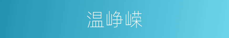 温峥嵘的同义词