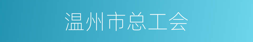 温州市总工会的同义词
