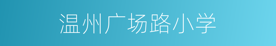 温州广场路小学的同义词