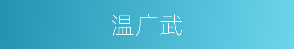 温广武的同义词