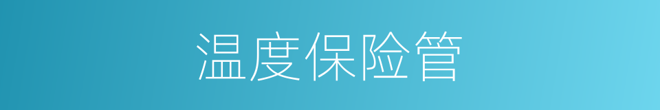 温度保险管的同义词