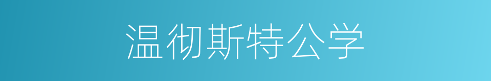 温彻斯特公学的同义词