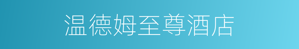 温德姆至尊酒店的同义词