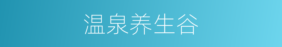 温泉养生谷的同义词