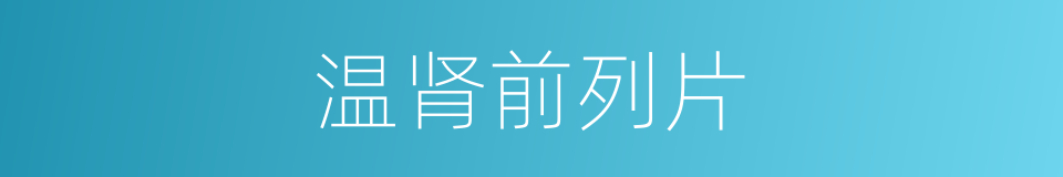 温肾前列片的同义词