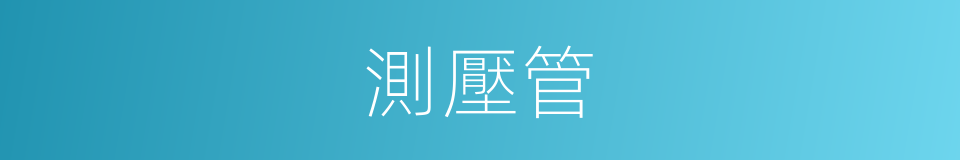 測壓管的同義詞