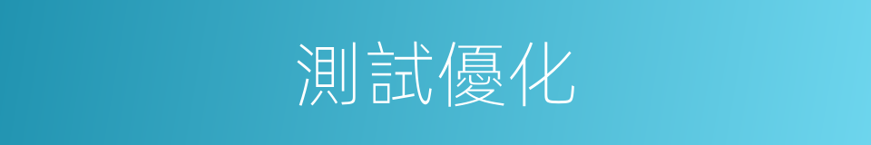 測試優化的同義詞