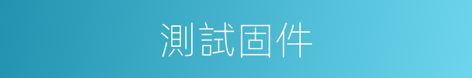 測試固件的同義詞
