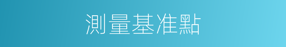 測量基准點的同義詞