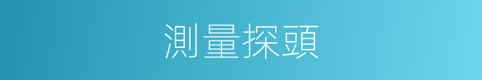 測量探頭的同義詞
