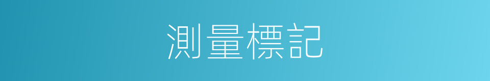 測量標記的同義詞