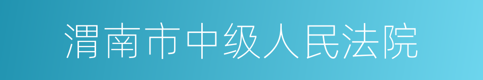 渭南市中级人民法院的同义词