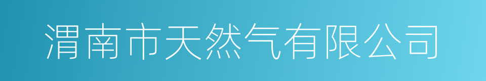 渭南市天然气有限公司的同义词