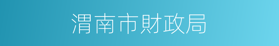 渭南市財政局的同義詞