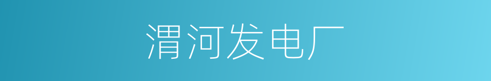 渭河发电厂的同义词