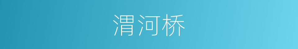 渭河桥的同义词