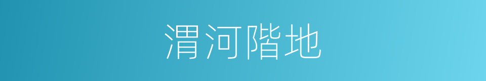渭河階地的同義詞