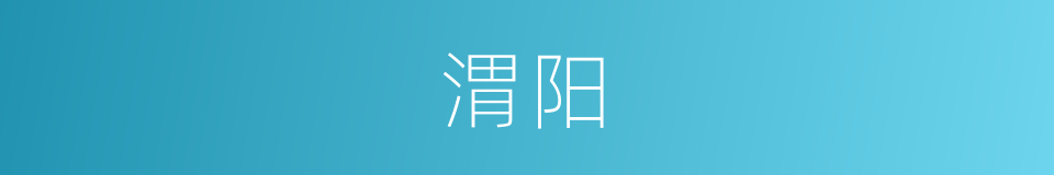 渭阳的意思