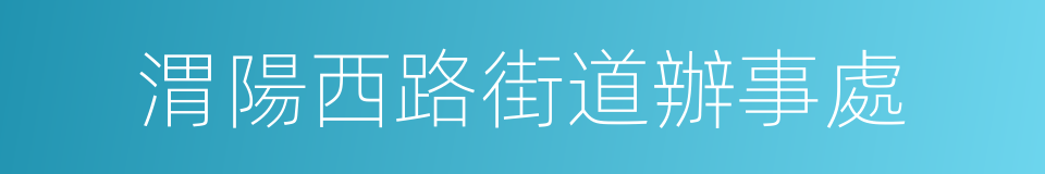 渭陽西路街道辦事處的同義詞