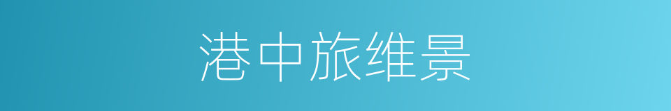 港中旅维景的同义词