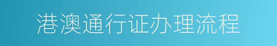 港澳通行证办理流程的同义词